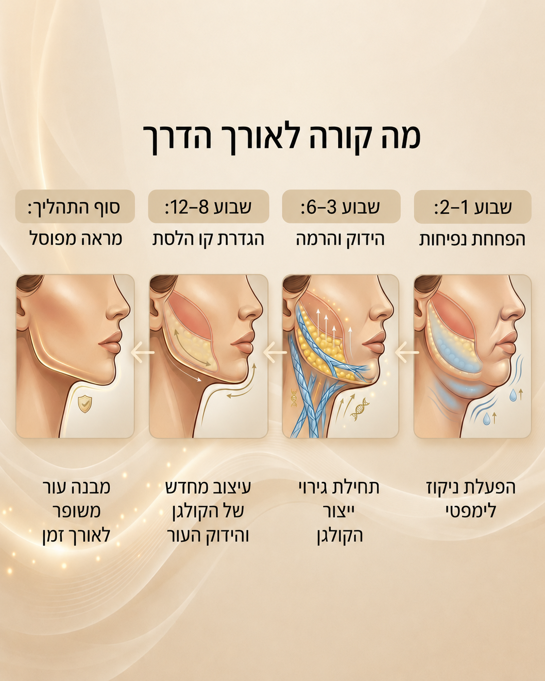 מסיכת קולגן לעיצוב קו הלסת